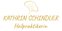 schindler-logo-250x125
