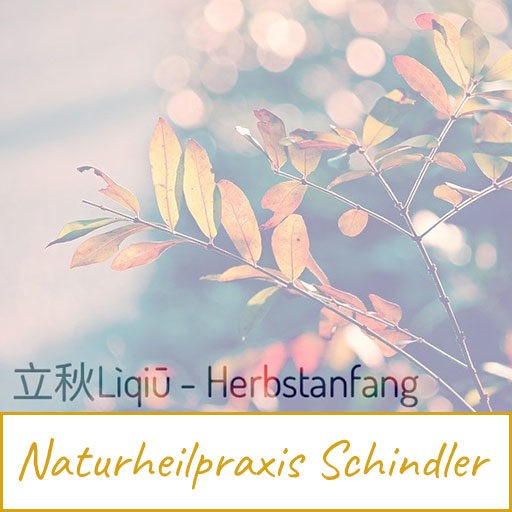 News - Herbstanfang - Quelle pixabay